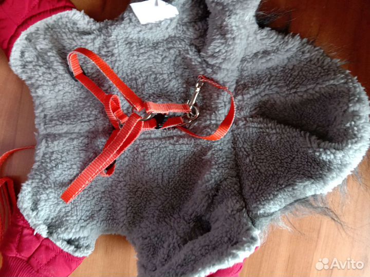 Одежда для маленькой собачки