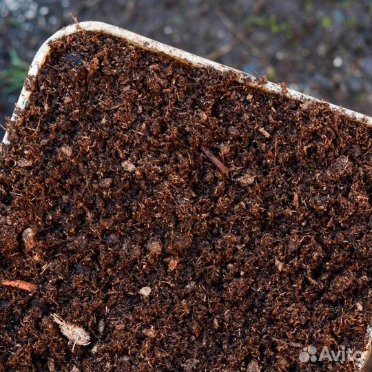 Торфогрунт