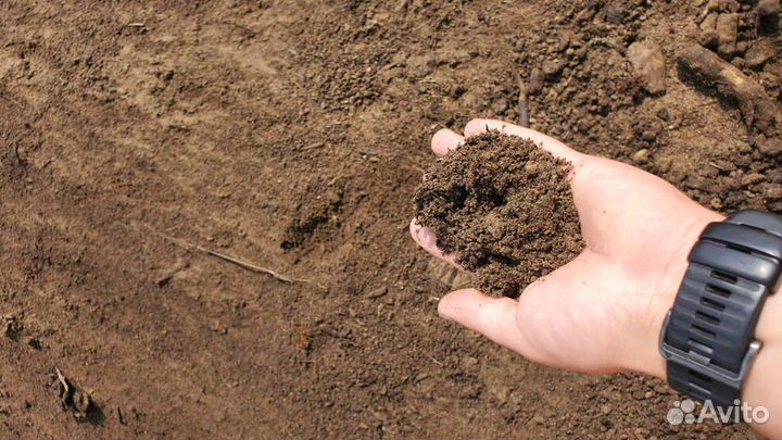 Растительный грунт