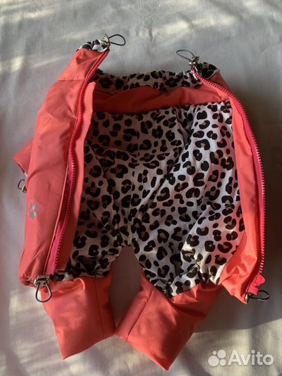 Одежда для маленьких собак