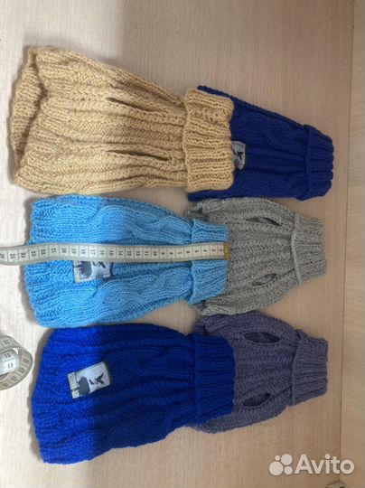 Одежда для животных