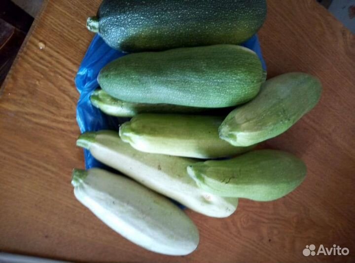 Чеснок,кабачки, тыква