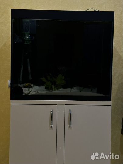 Аквариум с тумбой