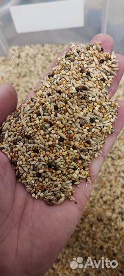 Корм для попугаев