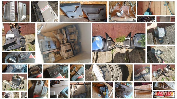 Жабо калина