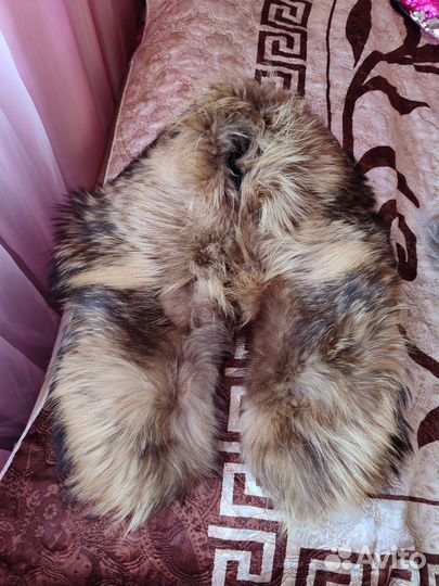 Меховой воротник енот