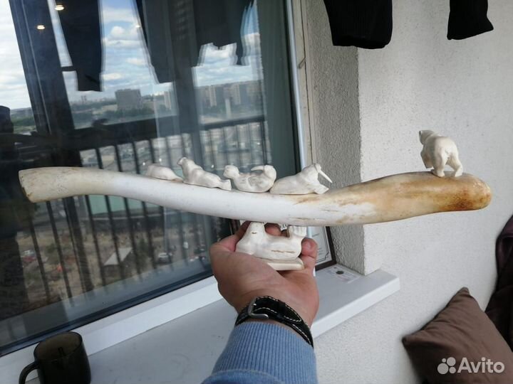 Мишки Бакулум Из кости северного водоплавающего