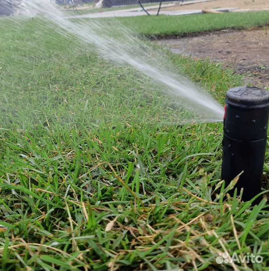 Газон. Рулонный газон