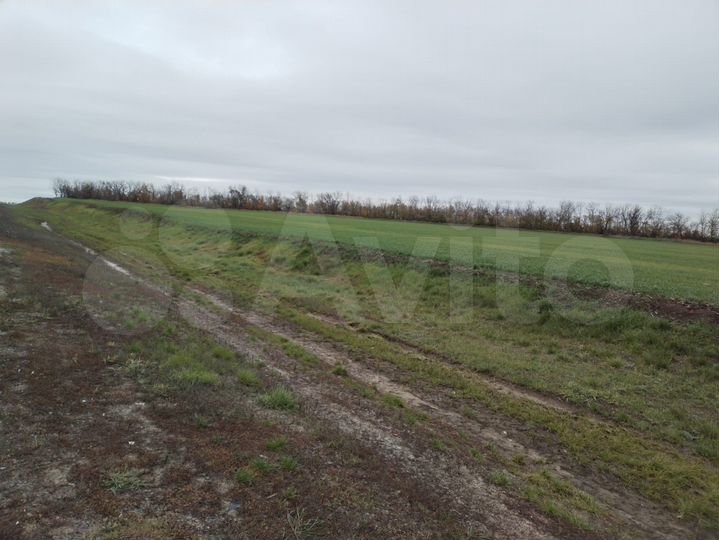 Участок 13 га (СНТ, ДНП)