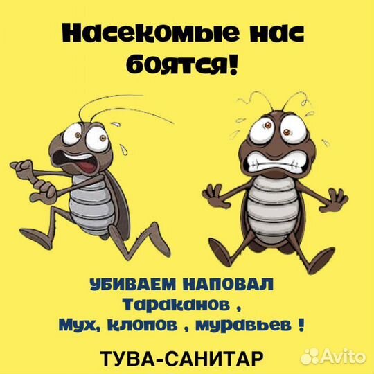Дезинфекция