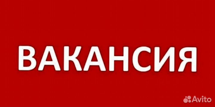 Водитель логист