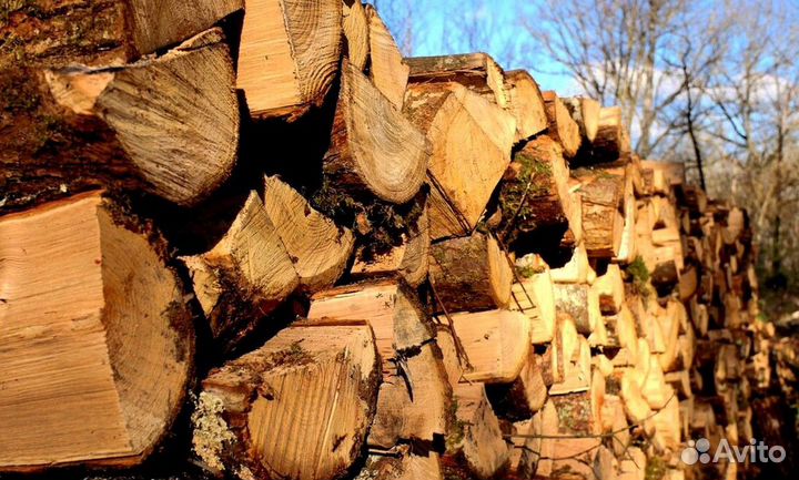 Дрова отличные