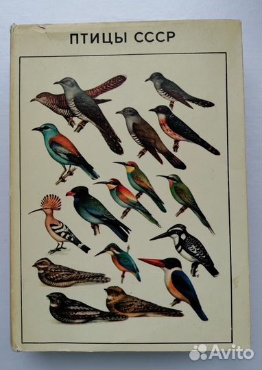 Справочник Птицы СССР, 1968 год