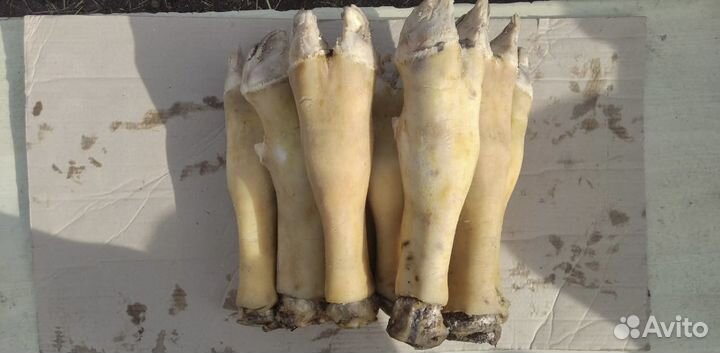 Копыта (Ноги) говяжьи (путовый сустав)