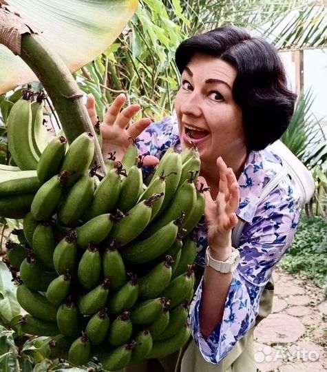 Переворачиватель дельфинов