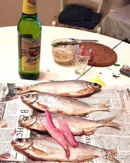 Донской рыбец