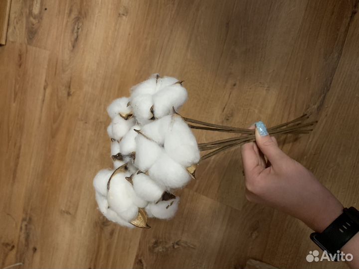 Хлопок сухоцвет