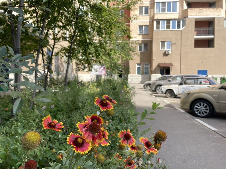 Свободного назначения, 9 м²