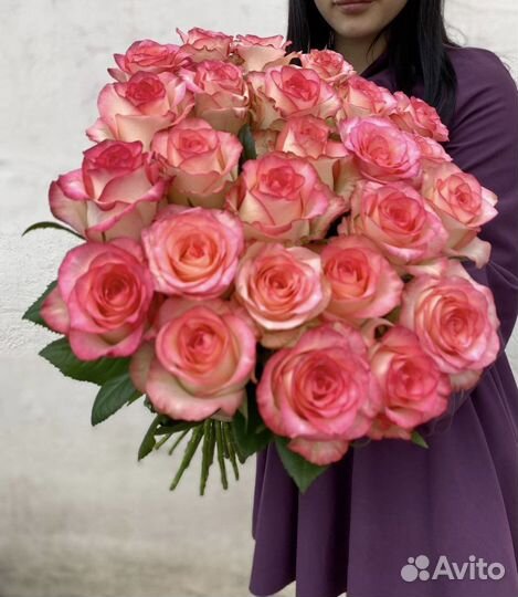 25 роз джумилия