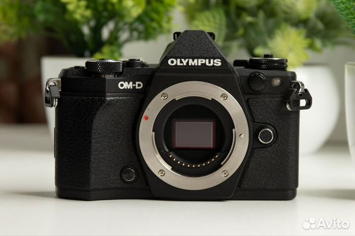 Olympus OM-D E-M5 Mark II Kit