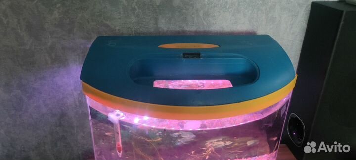 Аквариум с рыбками