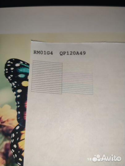 Мфу Epson XP-400 с снпч