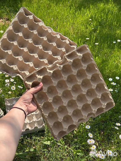 Ячейки для яиц упаковка картонные и пластиковые