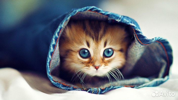 Обмен дисков xbox 360