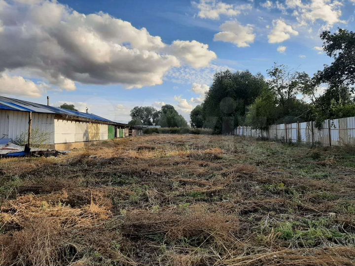 Дом 60 м² на участке 50 сот.