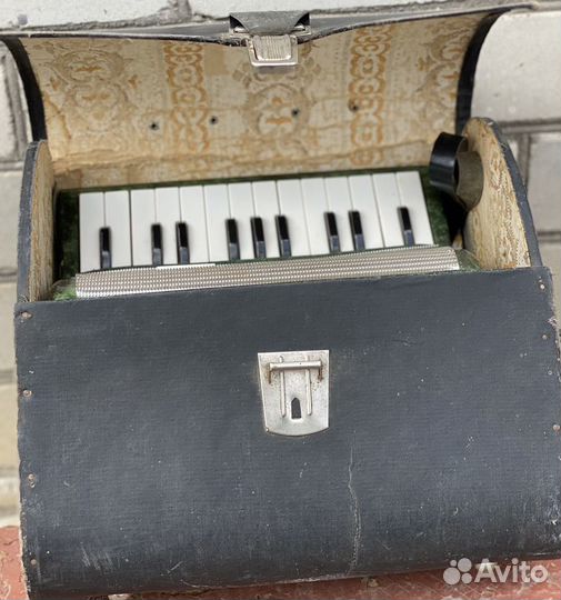 Аккордеон малыш