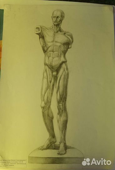 Академический рисунок