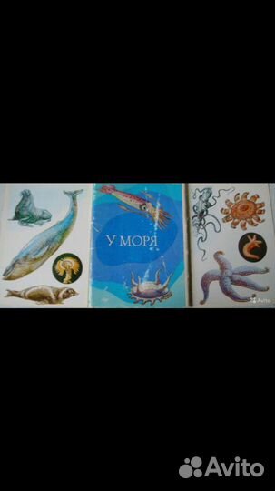 Братья Якоб и Вильгельм Гримм.