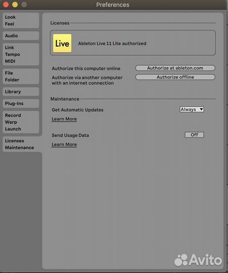 Ableton Лицензия, Live 11 lite