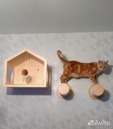 Игровой настенный комплекс для кошек