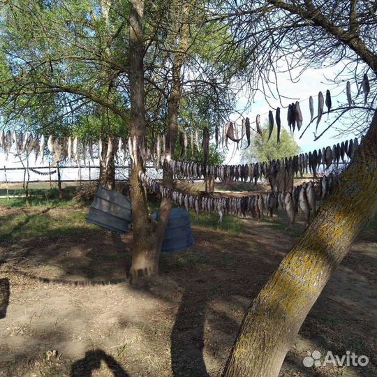 База, кемпинг, рыбалка