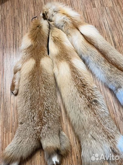 Шкура лисы