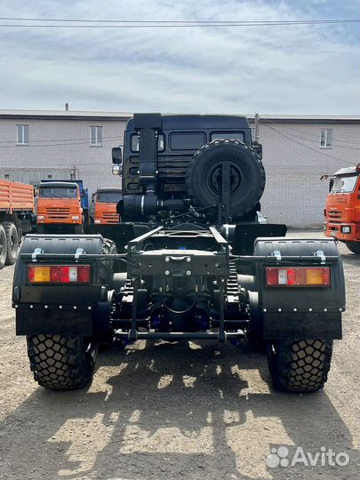 КамАЗ 65225, 2010