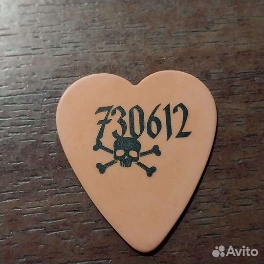 Медиатор Backyard Babies Dregen