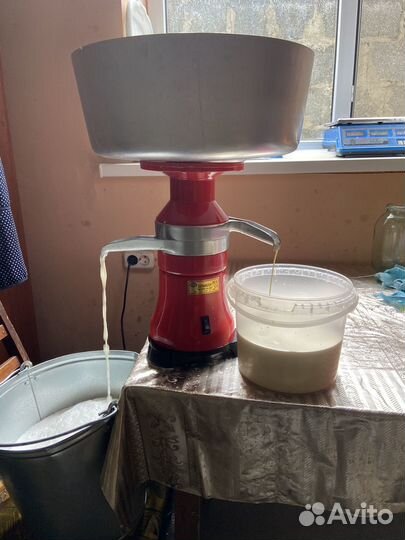 Сливки/сметана домашняя, творог