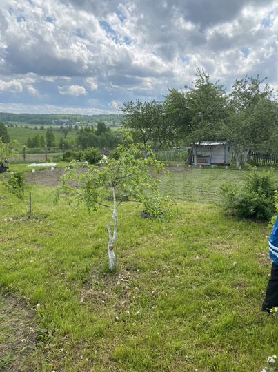 Участок 11 сот. (СНТ, ДНП)