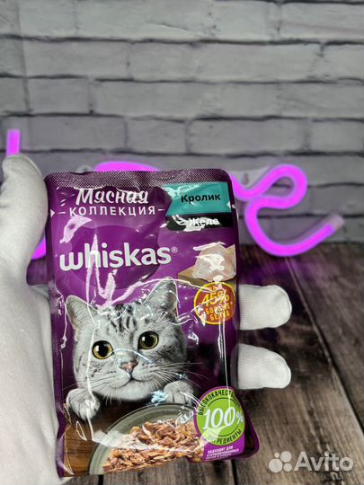 Кошачий корм влажный