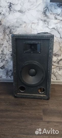 Активные колонки концертные