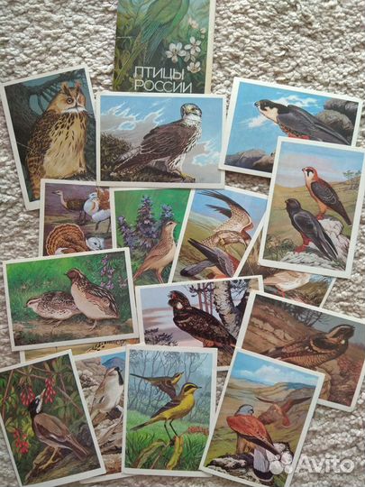 Открытки СССР Буратино,Муха -Цокатуха и сказки