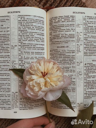 Библия в подарок