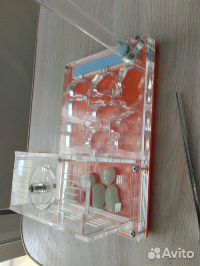 Муравьиная ферма без муравьев