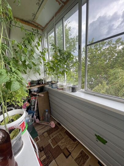 2-к. квартира, 47,9 м², 5/5 эт.