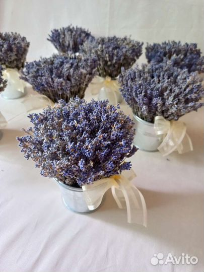 Композиции и букеты из лаванды