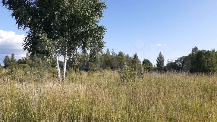 Участок 33 сот. (ИЖС)