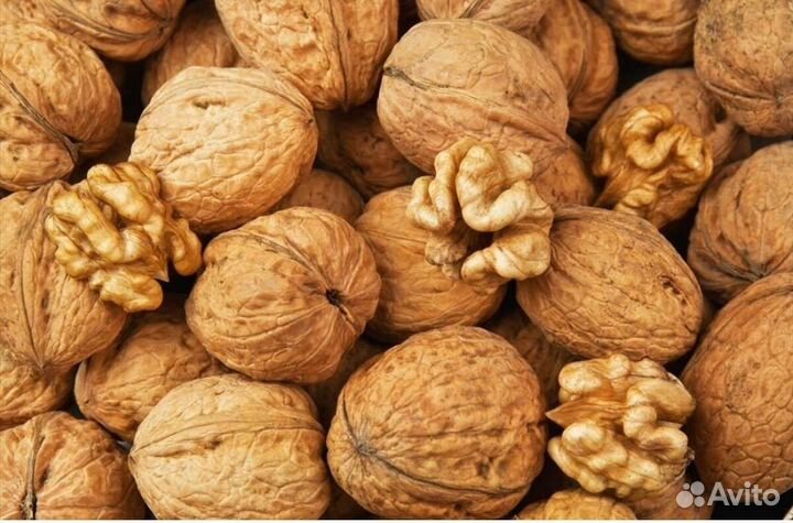 Грецкий орех в скорлупе
