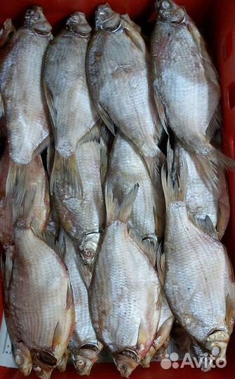 Снеки. Рыба. Сыры. Орехи